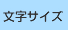 文字サイズ